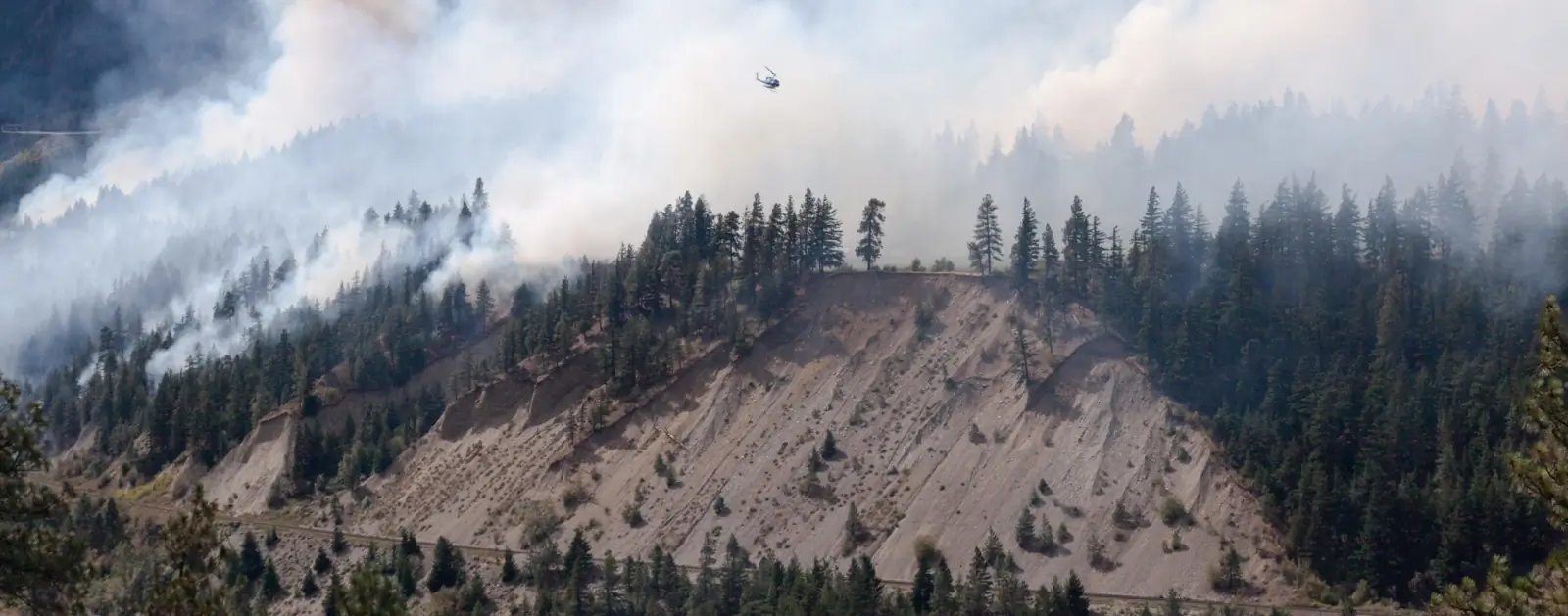 Fog forest fire smoke Getty Images 696165361